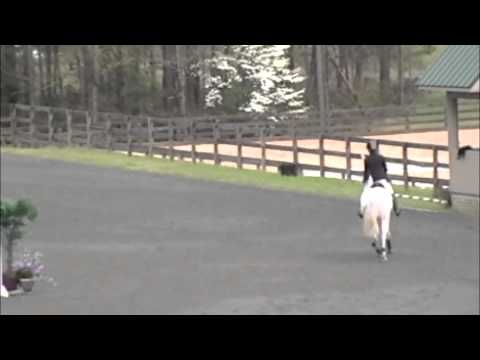 CIC2* à Poplar Place, dernière inspection des chevaux + Jumper, 27 mars. 2 barres, mais un bon parcours, je suis très...