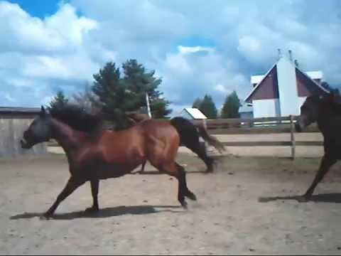 The Best Moments part 1 avec ma pouliche ^