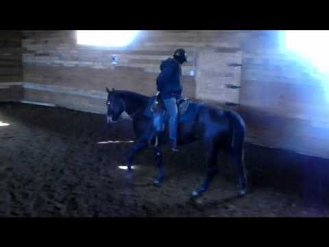 Niaiserie a cheval...Pas,trotet galop a l'envère avec ma jumentXD lol ...avec naration de mon amie
