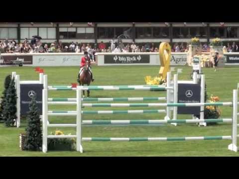 Ce cheval est INCROYABLE! quel parcours...Le cheval gagnant !