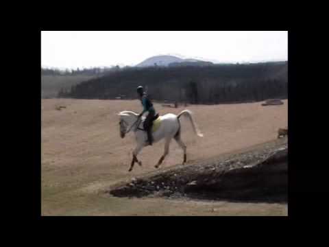 Petit entrainement de cross avec Kat, 25 avril 2011