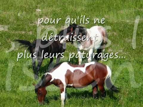il faut vrm reagir nous les aimont libres