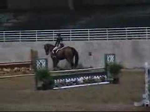j'adore se cheval!!! le plat est long mais il mouve bien!!
