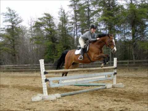 Moi et mon cheval Jazz (petite video pour le plaisir :)