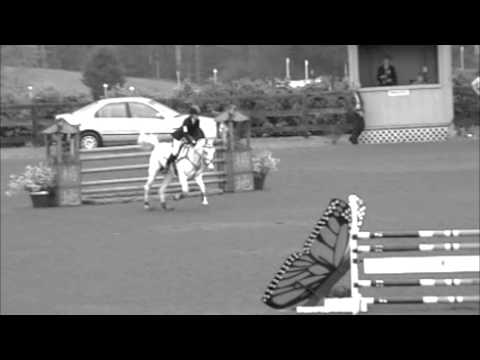 Eventing is... Un petit vidéo qui j'espère fait ressortir toute la beauté du complet!