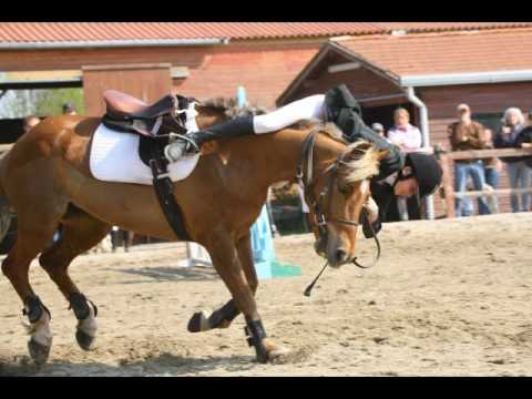 les plus belle chute a cheval en 2009