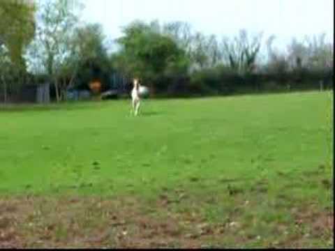 Il a l'air de d'amuser ce p'tit la ! ahah
