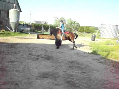 Moi et ma jument au baril. C'était la première fois que j'en fesait avec une selle et au galop :P
