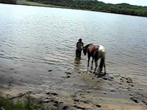 1er fois que Tonnerre voit un grand espace d'eau (20 juin 2011)