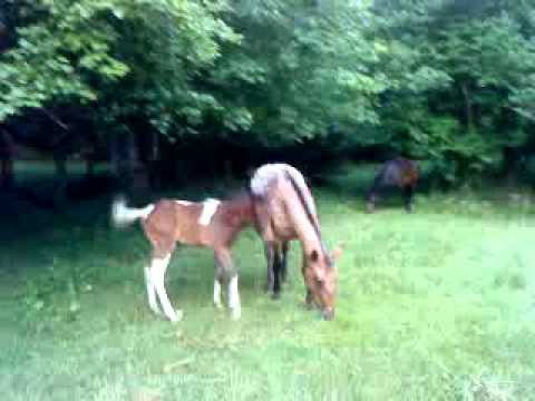 Lola et son sale caractere! Hihihi