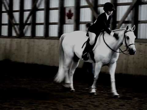 Petit vidéo que j'aime beaucoup d'une cavalière et son poney:)