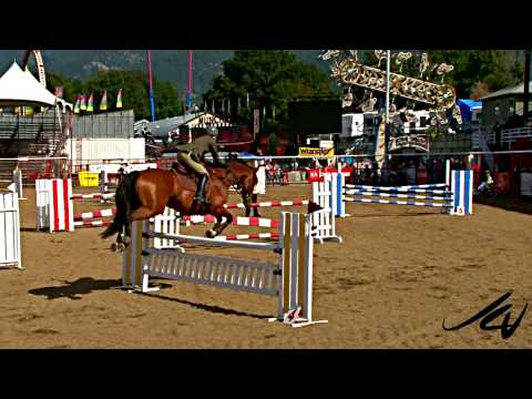 tous pour stresseer les chevaux :O