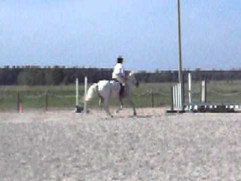 Moi et Hercule le 17 juillet 2011, première compétition de saut et la deuxième à vie pour moi je suis très fière on a...