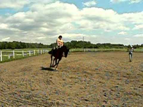 Mon cours du samedi 23 juillet 2011 travail au galop