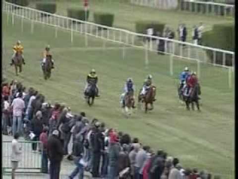 haha trop cute ! Une petite course de poneys !