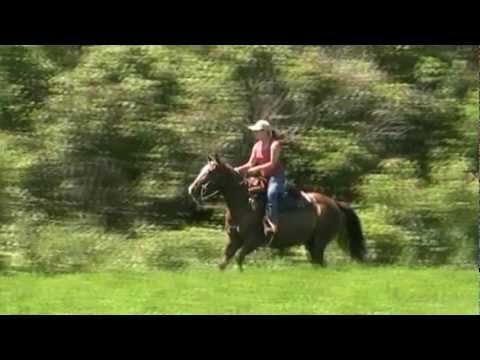 Quel bonheur j'ai eu à galoper dans cette belle nature avec ma jument!