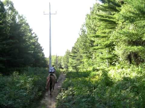 mon cheval moi et mon amie en trail ( moi je suis sur le cheval alezan pis mon amie est sur la jument bai