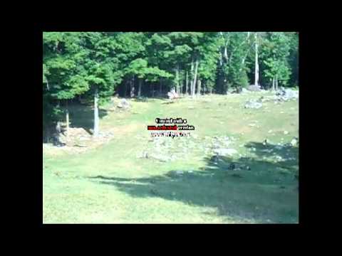 Gen et Noémy qui monte la côte au galop ! Gen a fahit se planter parce que Logan ses comme un peu énervée a la fin !...