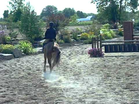 ma classe dequitation superd debut de parcours et apres jme suis presque tuer !