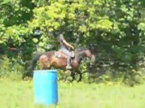 galop lors de mon cours. commentaires ? je trouve que au début c'est «boiteux» un peu mais que apres c'est mieux.