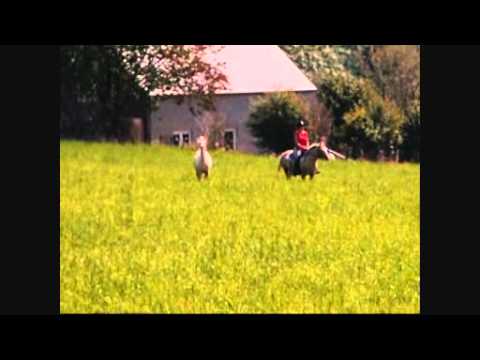 Aril fait le fou. On voit bien l'arabe qu'il a en lui  :) c'est mon copain qui film
