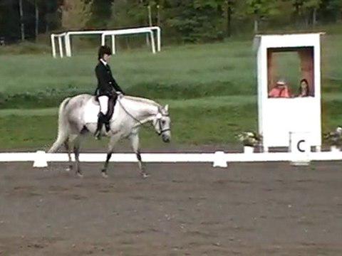 Robinson II Dressage de prélim. 3e/11