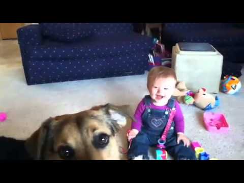 un chien qui fait mdr un bébé