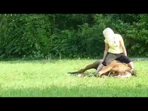 Je Veux faire sa avec mon cheval :)