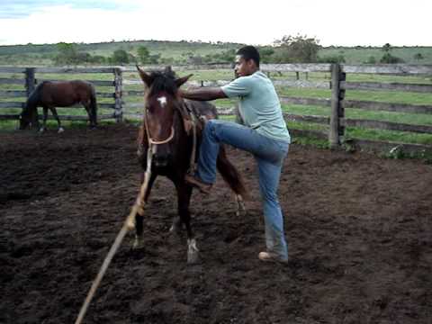 Le gars est pas mal grand je trouve pour ce cheval, video imbecile. ses fou tout ce qui a sur le net, ses fachant