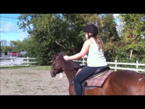 Moi sur Boléro au trot