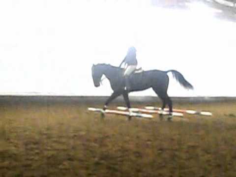 Mon gros en entrainement avec Émily; 1er fois au pôles!