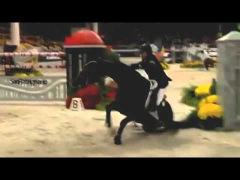 un champion dans la vie et dans la mort.. RIP hikstead..ce n'est pas la premiere larme couler et ce ne sera pas la...