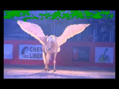 impréssionant ce cheval travail presque tou seul