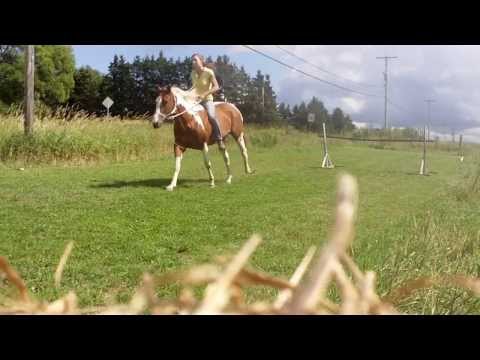 Samsara et moi qui saute 90 cm. Truc et conseil sont les bienvenu :)