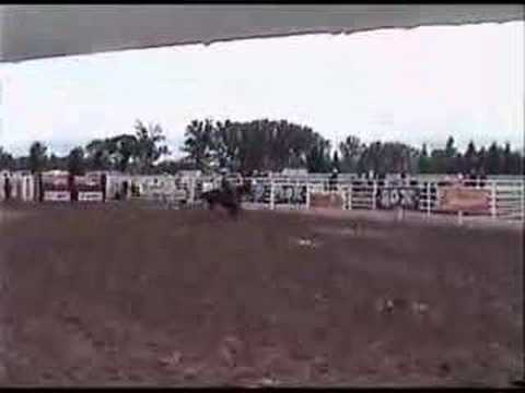 Barrel Racing and Pole Bending