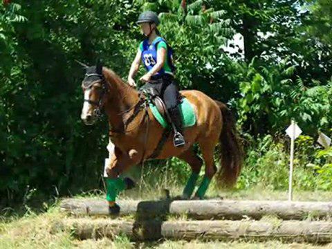 Voici le montage du résumé de ma saison 2011 avec ma jument! :)