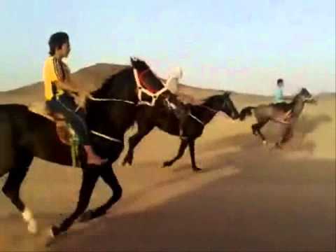 la fierté des pays du Maghreb! etil y a de quoi!