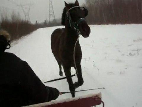 Un autre p'tit bout derri&egrave;re le sleigh pour Logan. :)