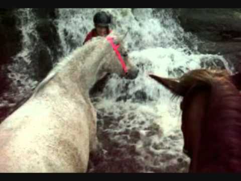 Un resumer en videos et photos de mon annee 2011 avec ma soeur et nos chevaux :)