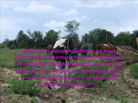 Une petite partie de l'histoire de Rosabelle-Luna en photo et vidéo...Simplement parce que je l'aime plus que tout au...