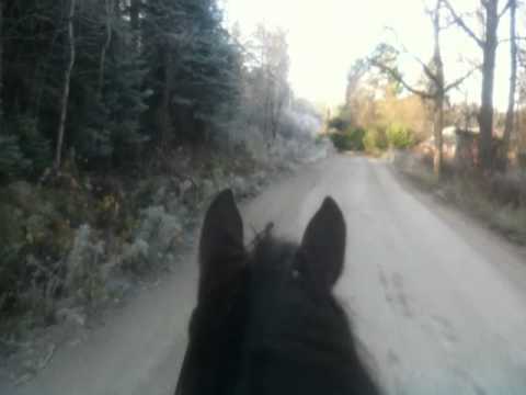 Petite ballade tranquille avec Papi jusqu'a la rivière