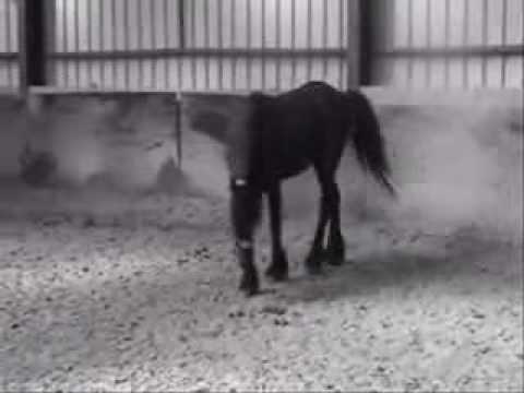 J'aime bien la musique et le video :)