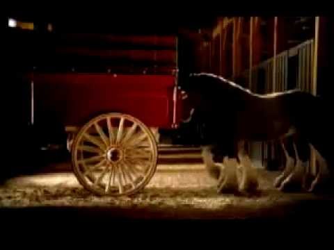 Annonce Budweiser vraiment magnifique & touchant