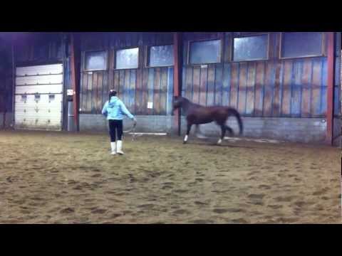 On recommence tranquillement :-D Grosse différence dans son mouvement!