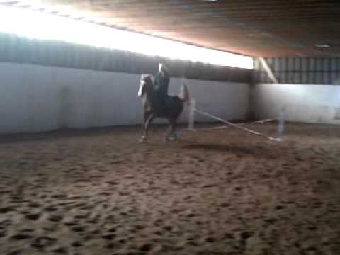 ripple et moi petite gym