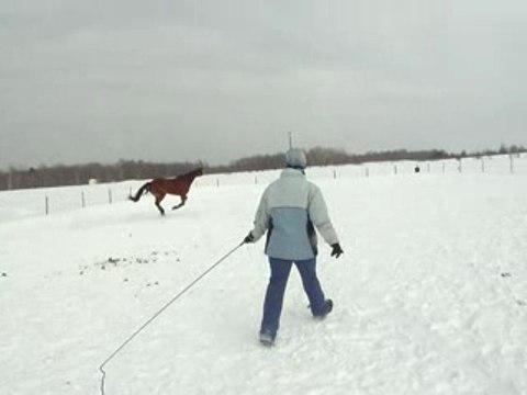 Saut de Henri...la deuxième fois il fait tomber la barre avec ses postérieurs!