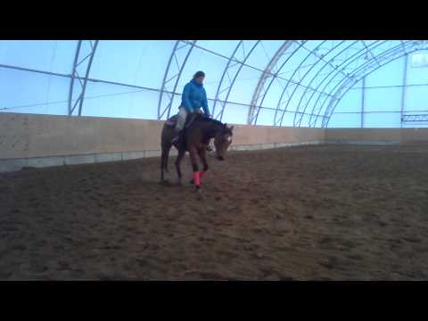 ma pouliche au galop :)
