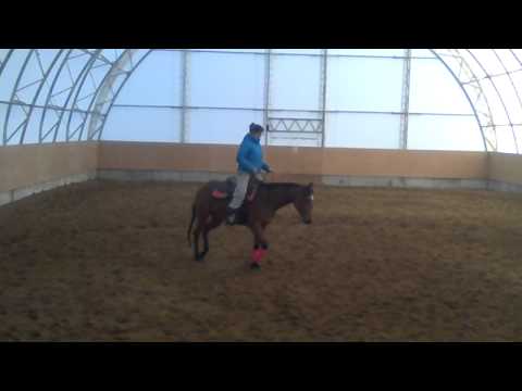 ma pouliche au galop :)