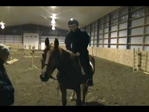 Petite vidéo qui résume mes débuts avec ma pouliche jusqu'à aujourd'hui