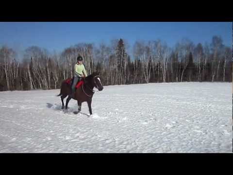 Moi et Fidelle au grand galop :) ( bon on voit pas beaucoup et on dirait que je vas pas vite)